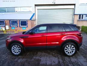 LAND ROVER RANGE ROVER EVOQUE 2016 (16) at AK Simpson Car Sales Dukinfield