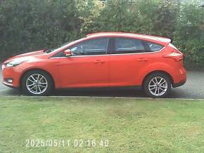 FORD FOCUS at AK Simpson Car Sales Dukinfield